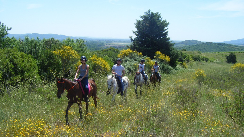 Centro Ippico in Maremma