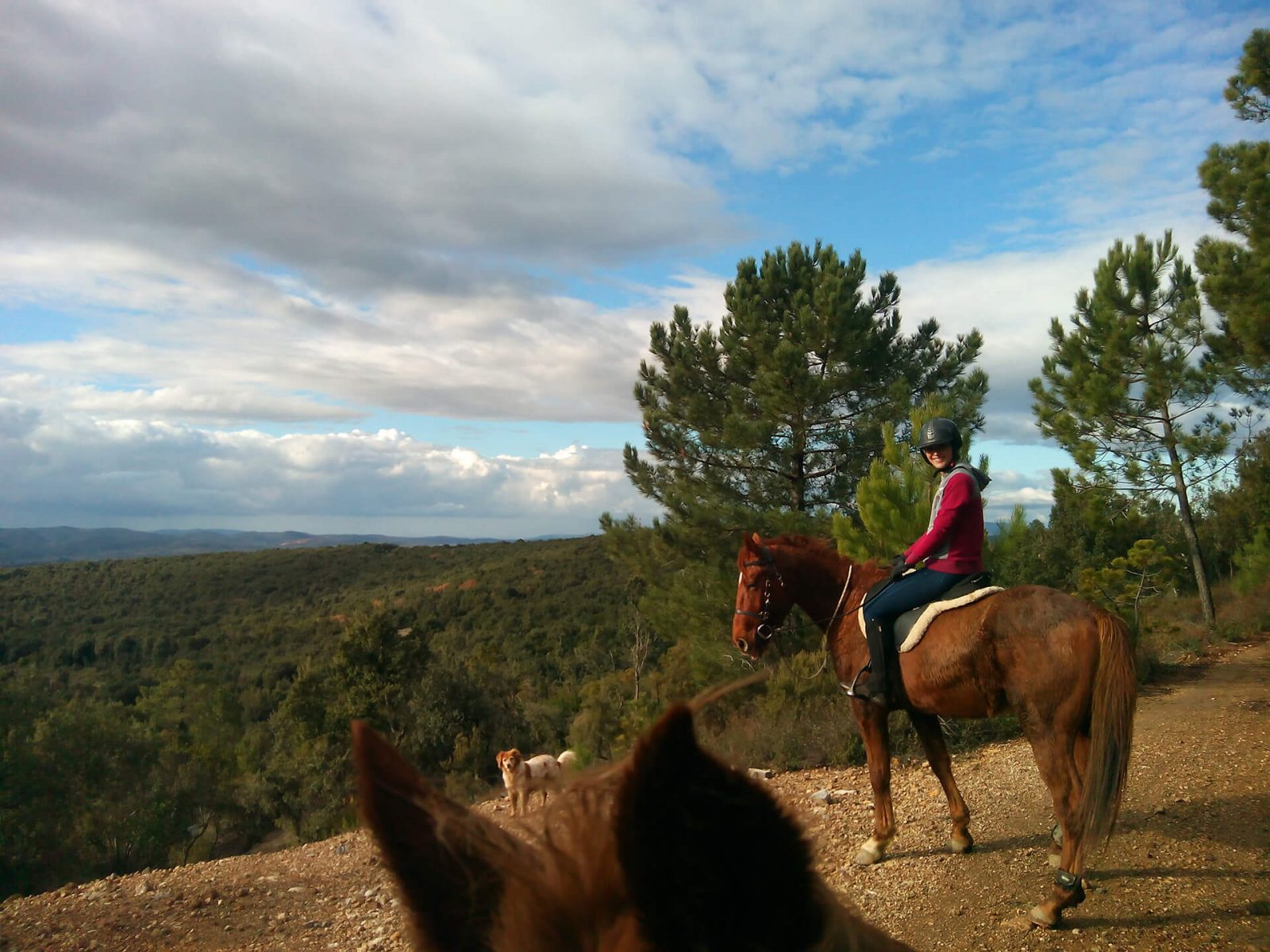 Centro Ippico in Maremma