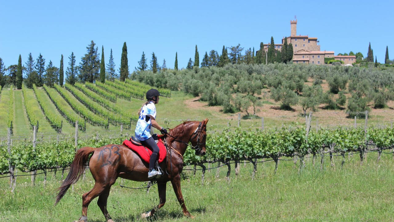 Centro Ippico in Maremma