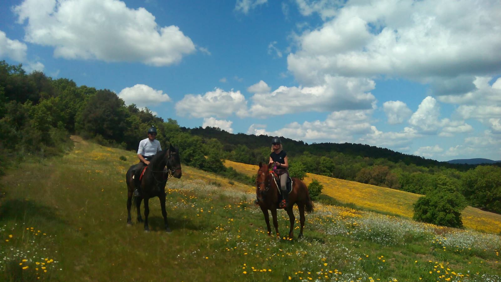 Centro Ippico in Maremma