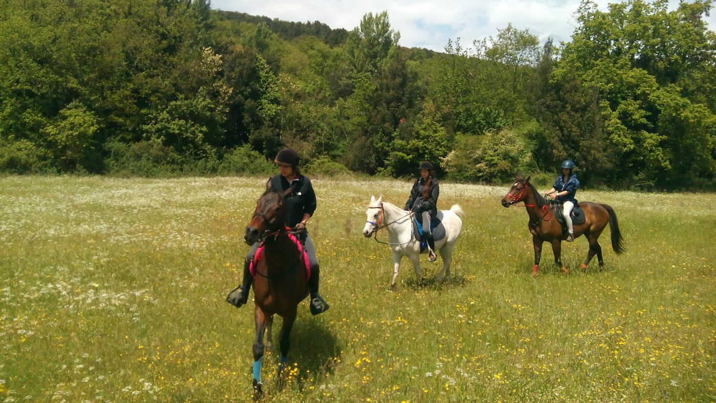 Centro Ippico in Maremma