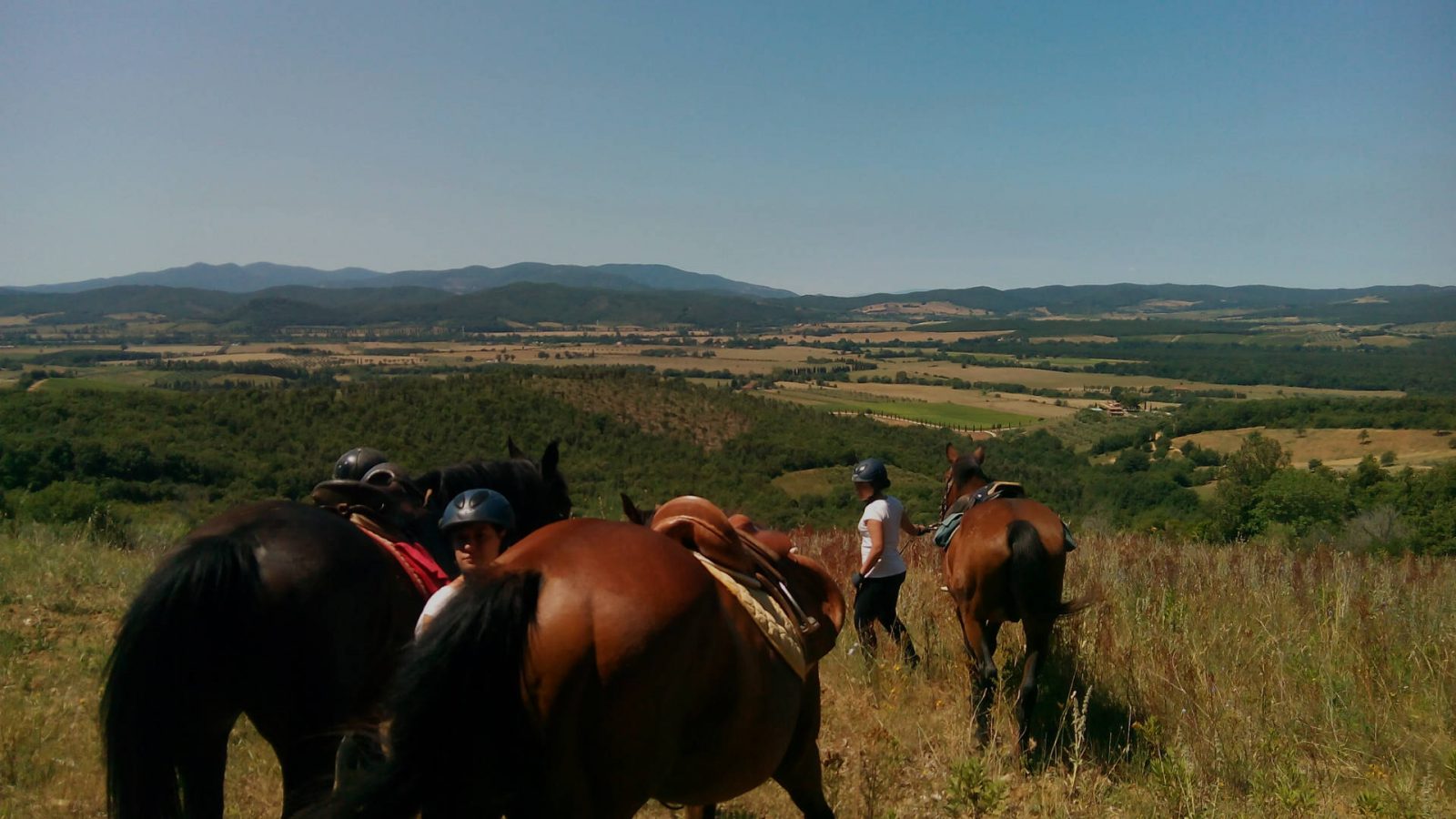 Centro Ippico in Maremma