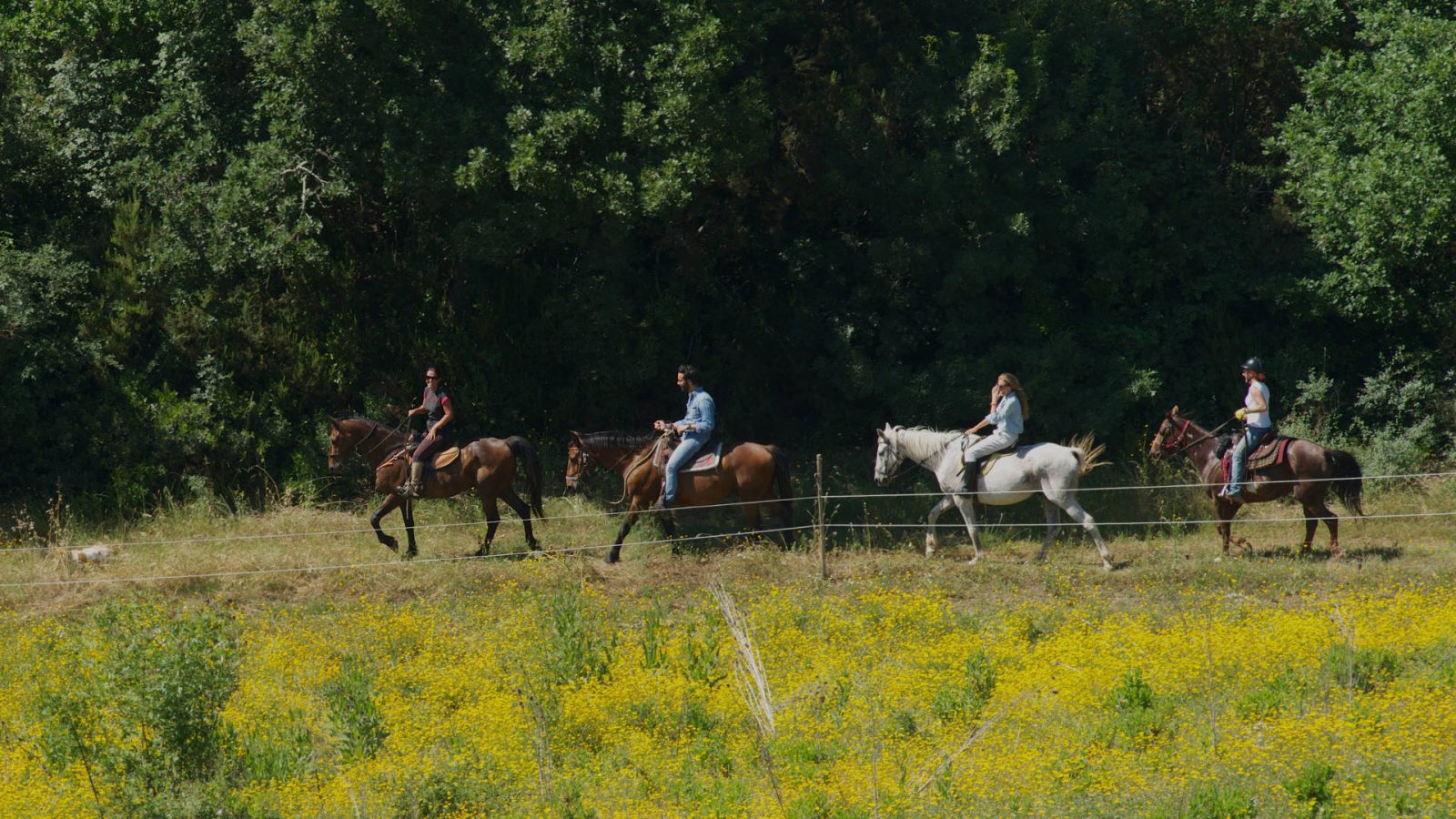 Centro Ippico in Maremma